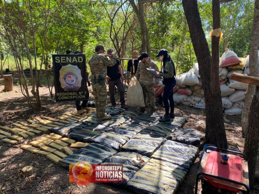 Senad destruyó 2 toneladas de marihuana y narcocampamentos en Puentesinho