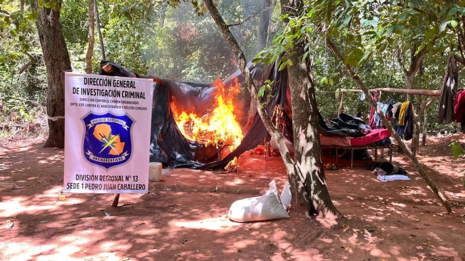 Allanan inmueble rural y destruyen 7 hectáreas de marihuana en Zanja Pytã
