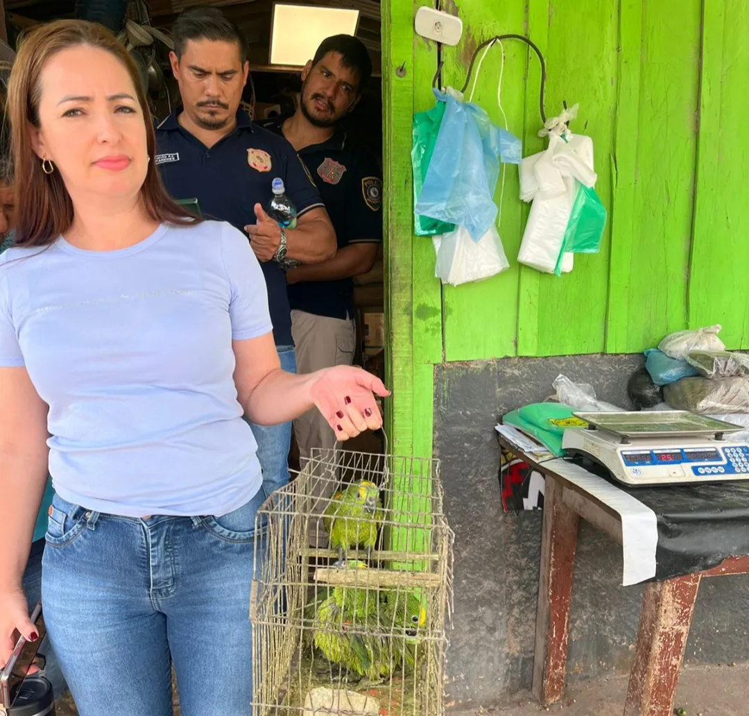 Loros incautados en el Mercado Municipal de Pedro Juan fue entregado al MADES
