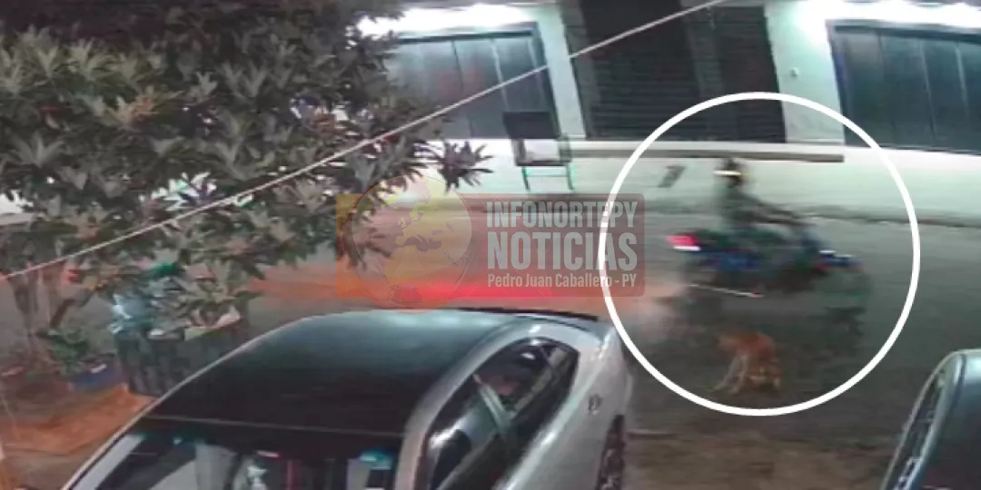 Identifican al autor de disparos contra vivienda de exesposa de exgobernador en Pedro Juan
