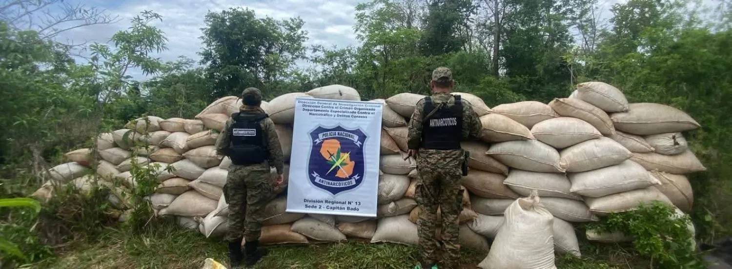 Allanan inmueble rural y destruyen 3.000 kilos de marihuana en Capitán Bado