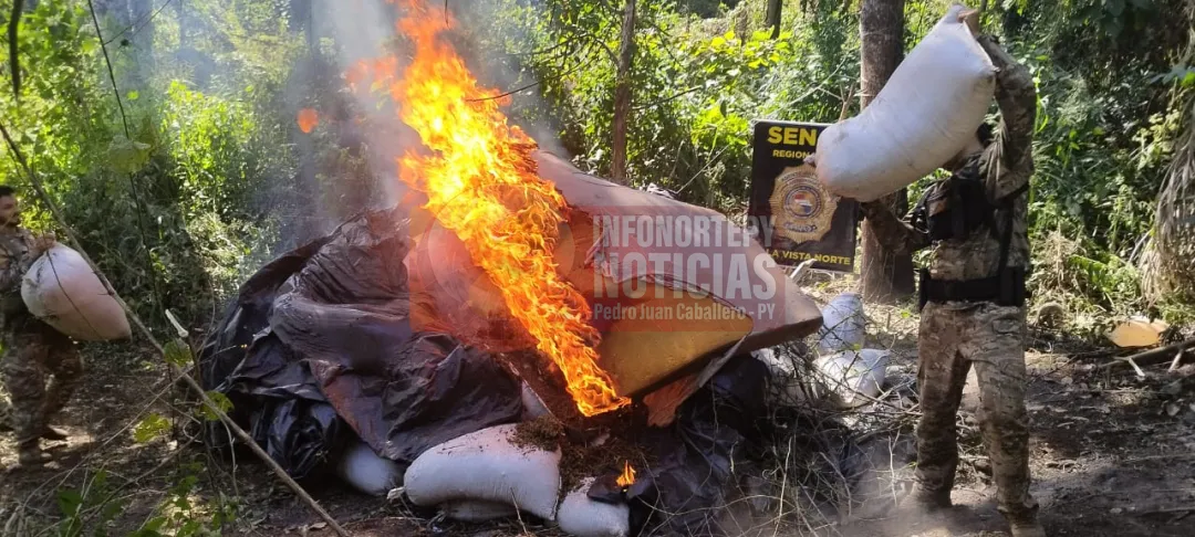 Elimina Más de 4 Toneladas de Marihuana en Bella Vista Norte