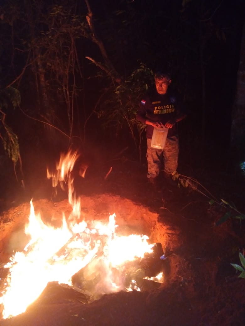 Antinarcóticos de Pedro Juan destruyó más de una tonelada de marihuana.