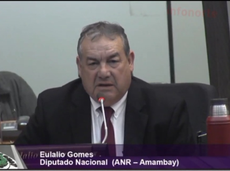 Diputado "Lalo Gomes" acompañó aprobación de préstamo para la ANDE