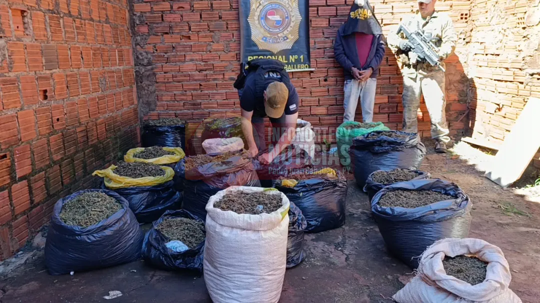 Detienen a hombre con cargamento de marihuana tipo skunk en Pedro Juan