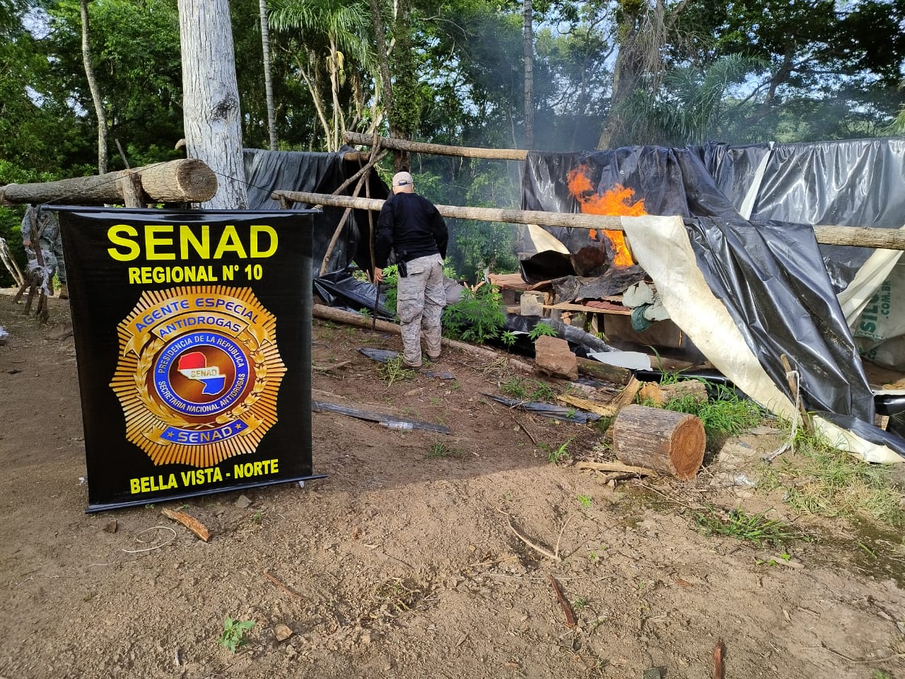 Destruyen más de 13 toneladas de marihuana en Bella Vista