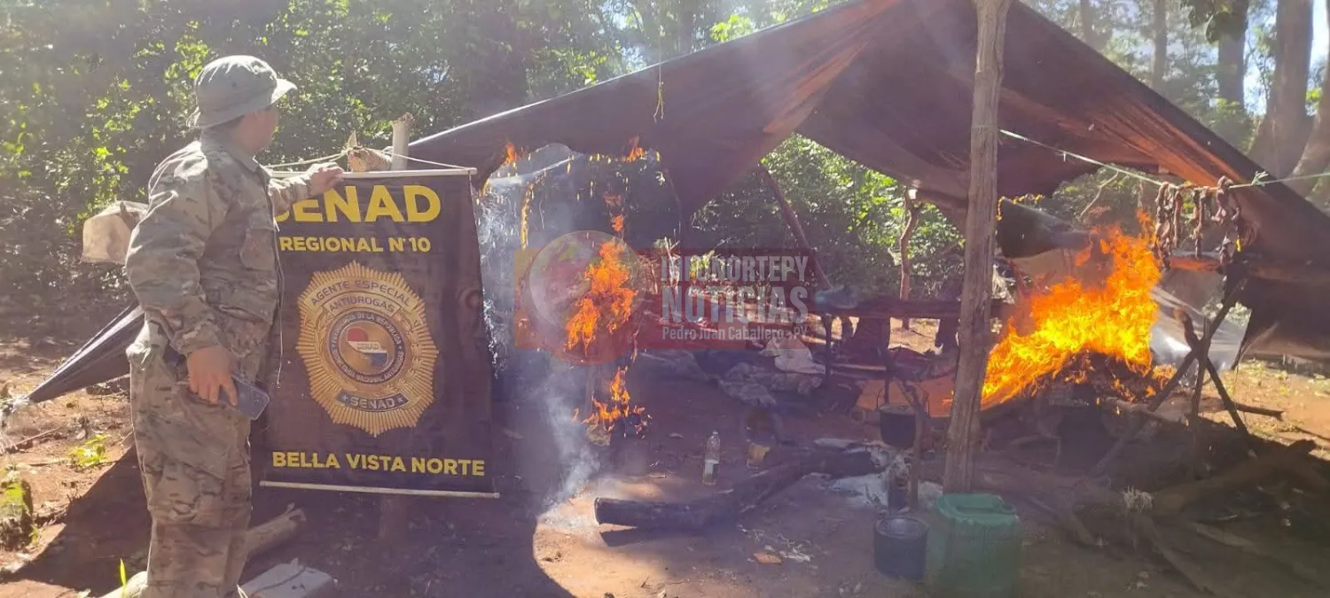 SENAD anula unas 15 toneladas de marihuana en operativo rural en Bella Vista Norte