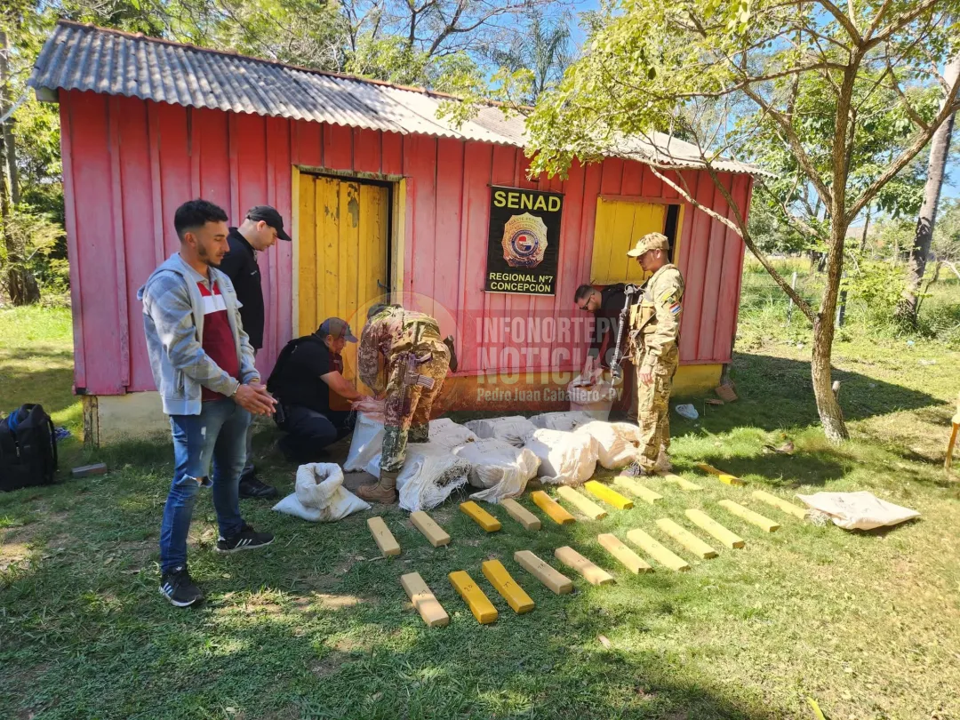 SENAD incauta 240 kilos de marihuana y detiene a un hombre en Yby Yaú