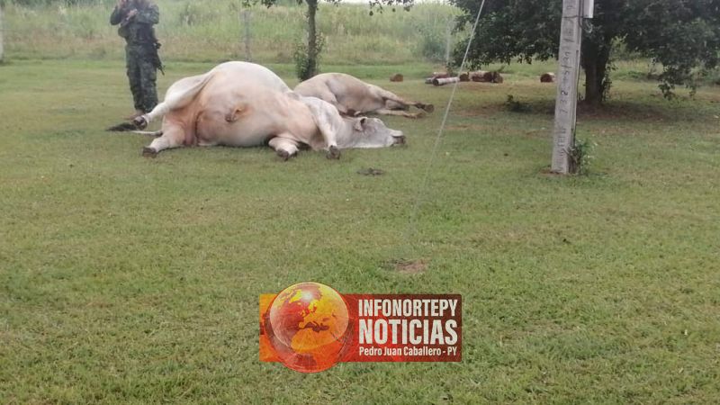 Hombres  armados atacaron estancia en Paso Barreto