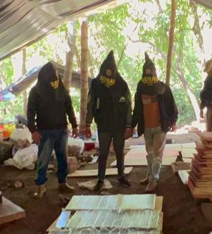 Mariguaneros detenidos en Pedro Juan fueron imputados por la Fiscalía