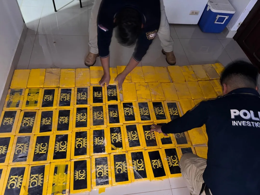 Fuerte golpe al narcotráfico: Incautan 285 kilos de cocaína en Concepción