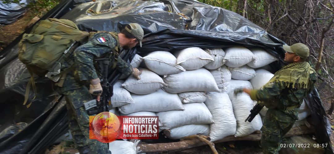 Récord: Incautan más de 55 mil  toneladas de marihuana en zona rural de Pedro Juan
