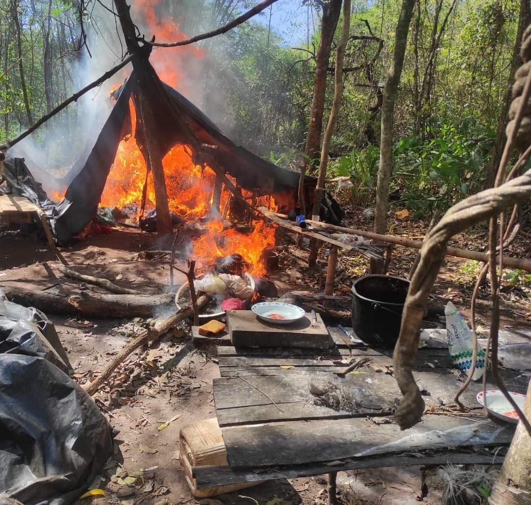 SENAD destruyó campamento de marihuanero en Cerro Corá