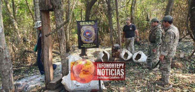 Senad desarticula campamento narco y anula más de 12 toneladas de marihuana en Canindeyú