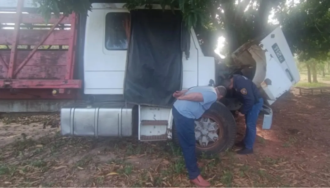 Encuentran camión denunciado como robado tras allanamiento en Concepción