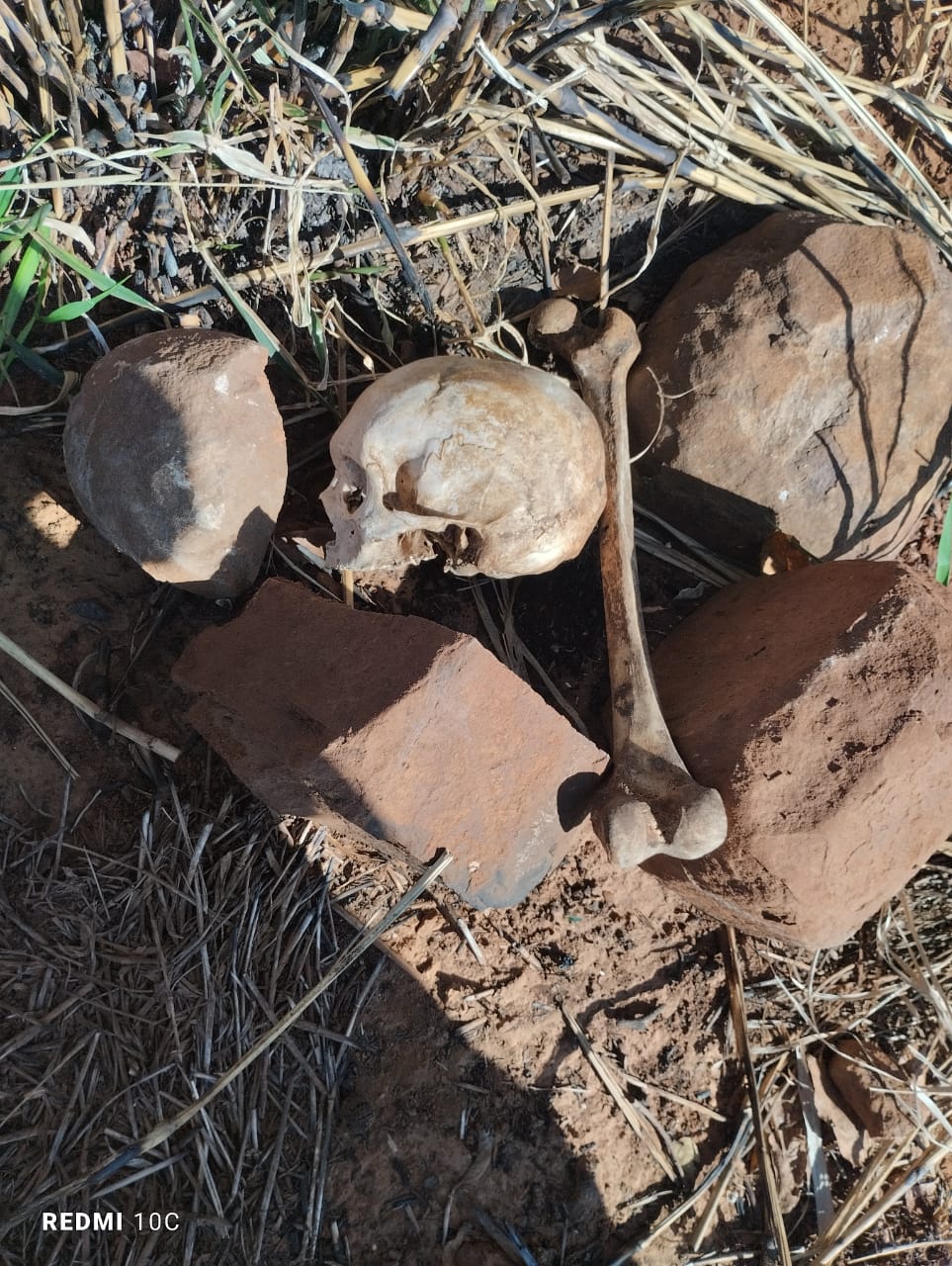 Hallan restos óseos en estancia en zona se Cruce Bella Vista