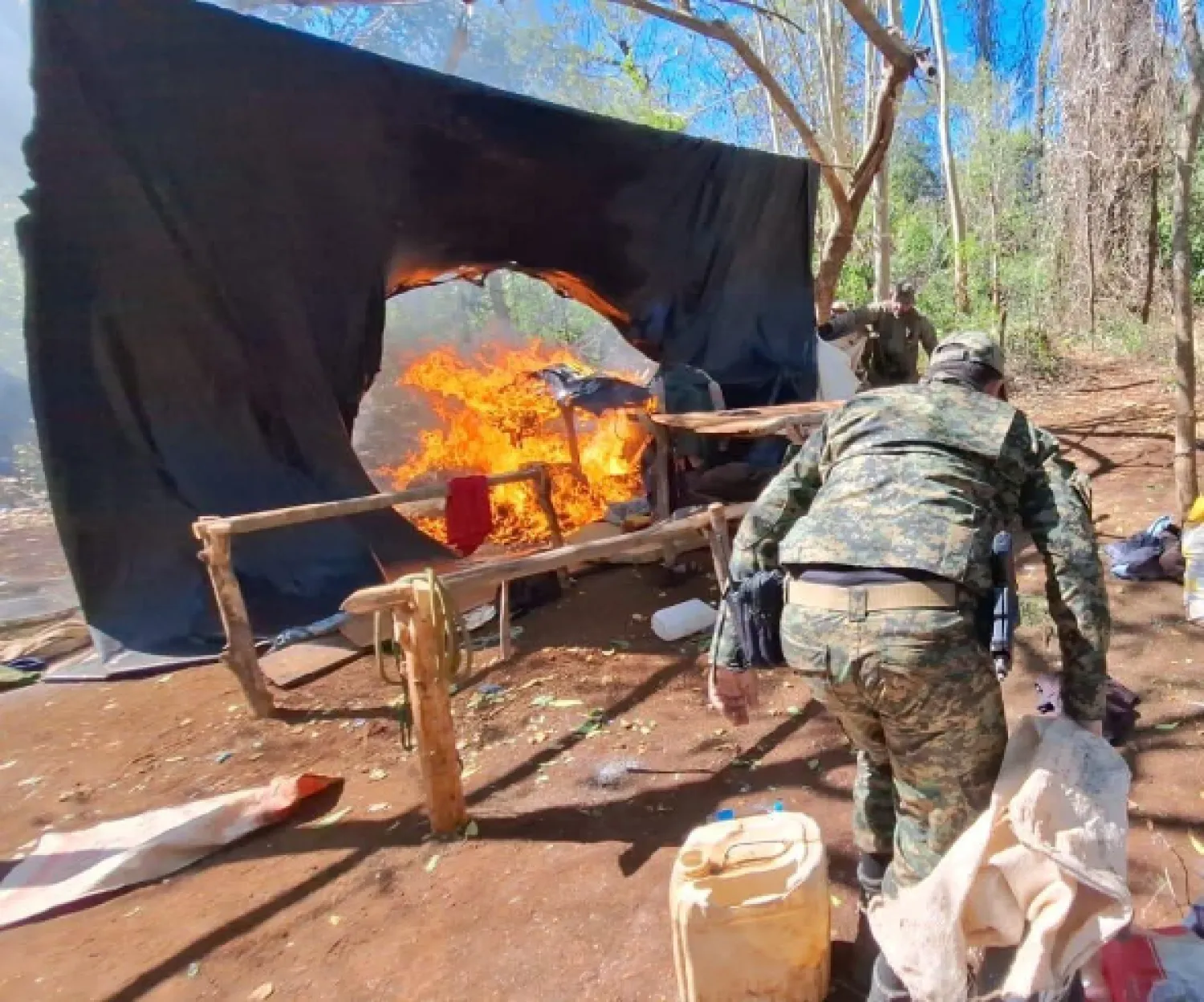 Antinarcóticos destruyen más de 3.200 kilos de marihuana en operativo rural en Pedro Juan