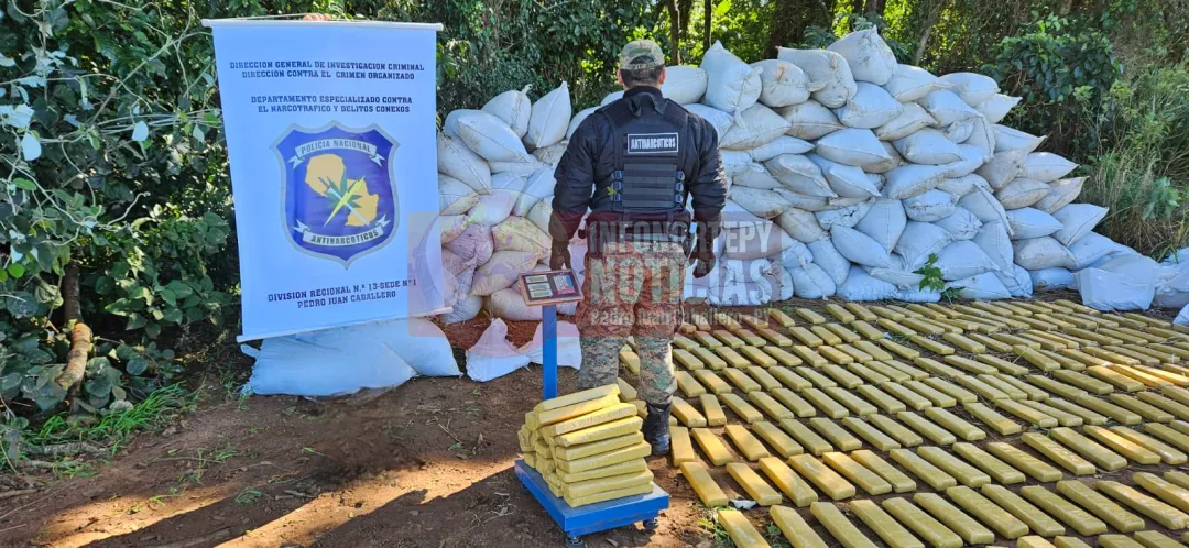 Golpe al Narcotráfico: Antinarcóticos destruyen más de 6 toneladas de marihuana en Pedro Juan