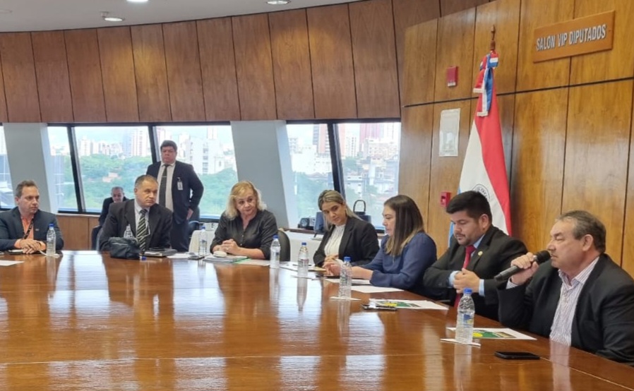 Diputado "Lalo Gomes" buscando estrategias para mejorar producción de sésamo en Paraguay