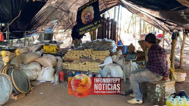 Senad en un mega Operativo incautó más de 7 toneladas de marihuana en zona rural de Cápitan Bado.