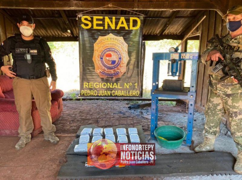 Senad incauta más de 12 kilos de cocaína en Pedro Juan