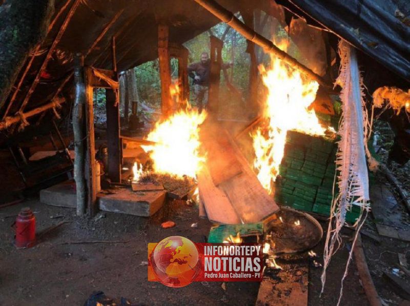 Senad incauta más de 6.000 kilos de marihuana en Capitán Bado