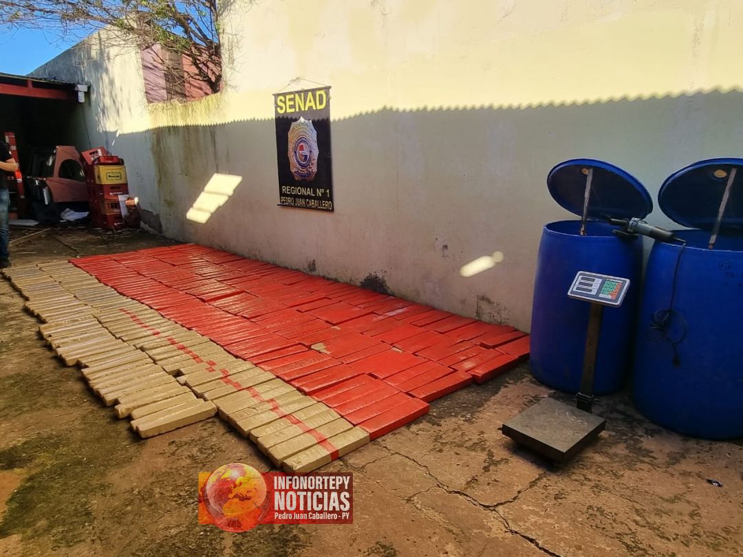 Senad incauta más de 388 kilos de marihuana en Pedro Juan