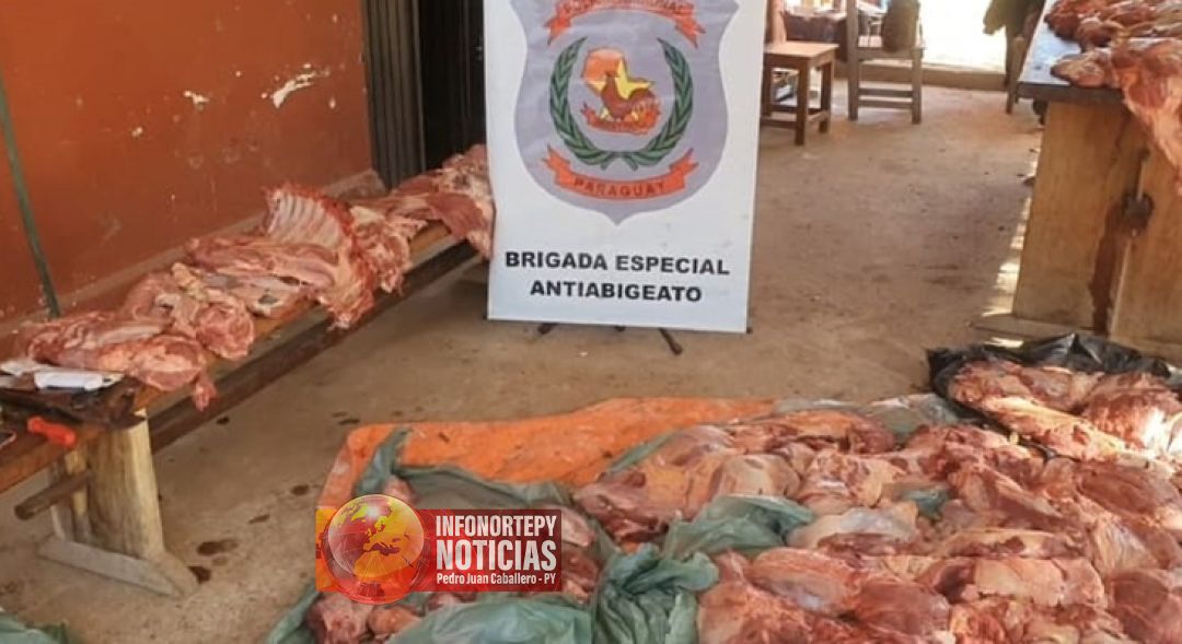 Incautaron media tonelada de carne ilegal en Concepción