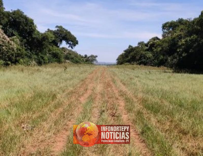 Hallan en zona de Zanja Pyta  pista clandestina utilizada para tráfico de drogas