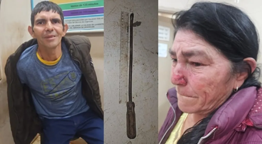 Intentó asesinar a su madre con un destornillador y acabó siendo detenido