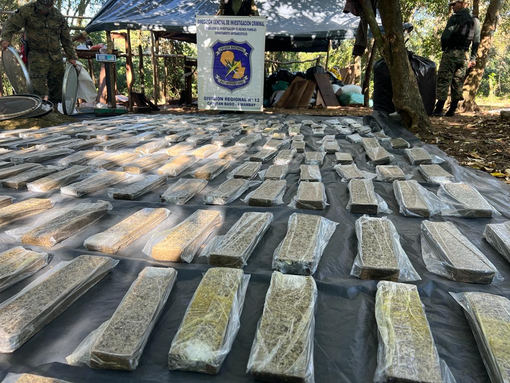 Destruyen más de una tonelada y media de marihuana en Karapaí