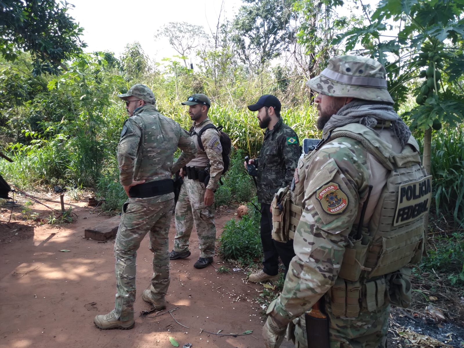 Inician nueva operación contra marihuaneros en Amambay