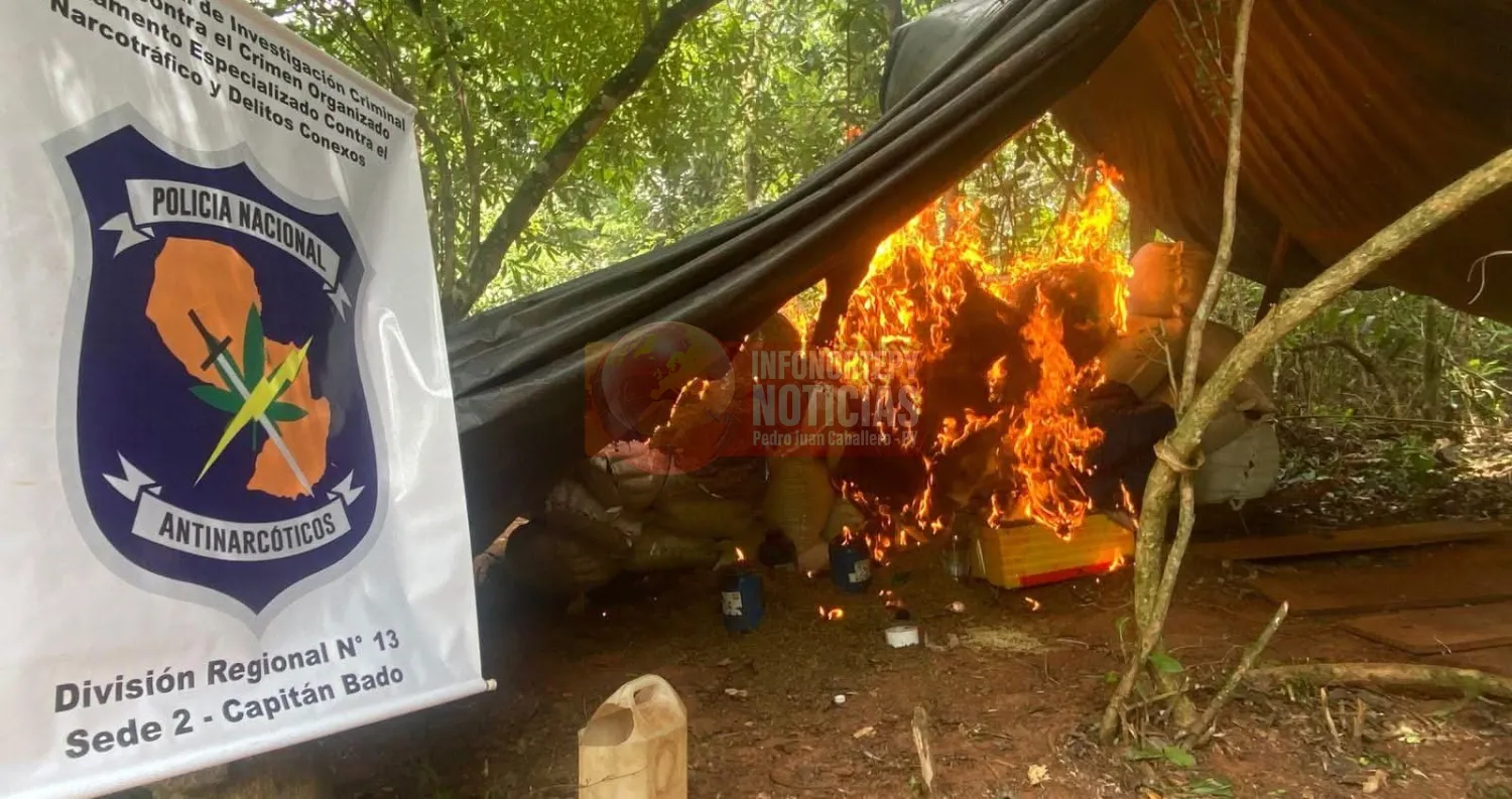 Incineran 3.500 kilos de marihuana durante operativo rural en Capitán Bado