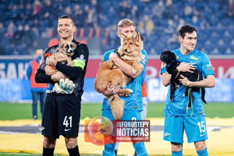 Con los perritos en brazo, los jugadores del Zenit instaron a la adopción de mascotas
