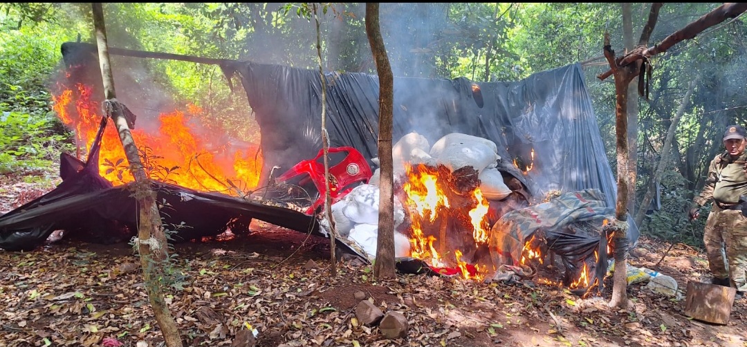 SENAD eliminó más de 18 toneladas de marihuana en Bella Vista Norte y Zanja Pytã
