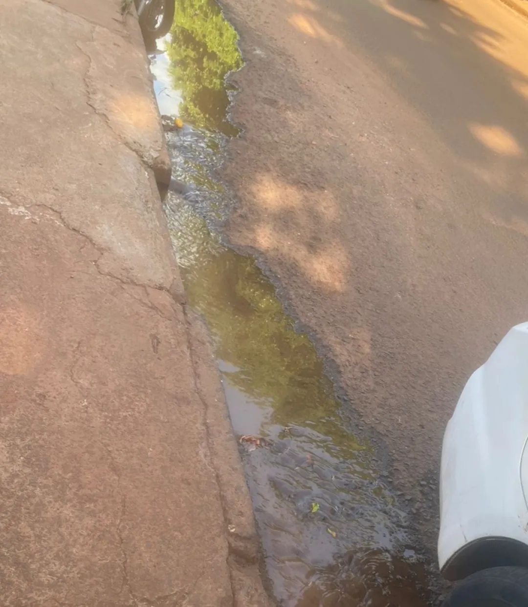 Vecinos del Barrio Obrero claman por solución a mal olor de aguas cloacales