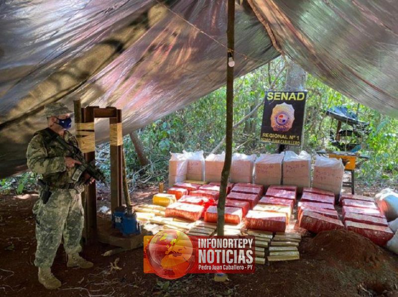 Senad desmantela narcocampamentos y destruye más de 5 toneladas de marihuana