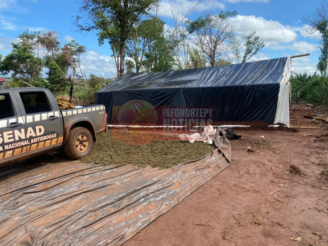 SENAD allanó bases de producción marihuana en Capitán Bado