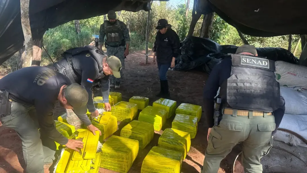 Senad destruye unos 600 kilos de marihuana en Yby Yaú