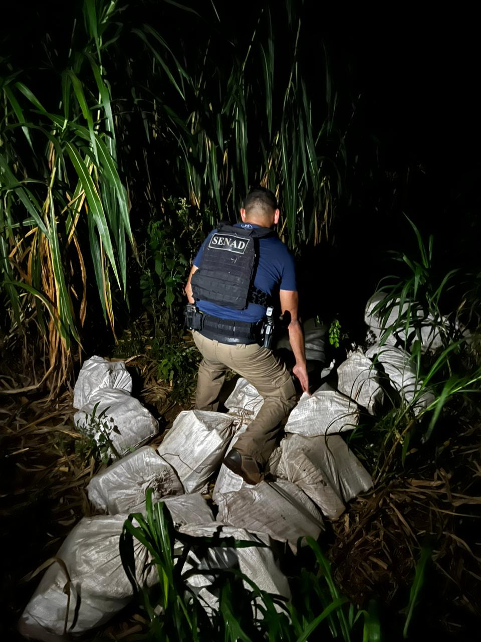 Incautan más de media tonelada de marihuana en Chiriguelo