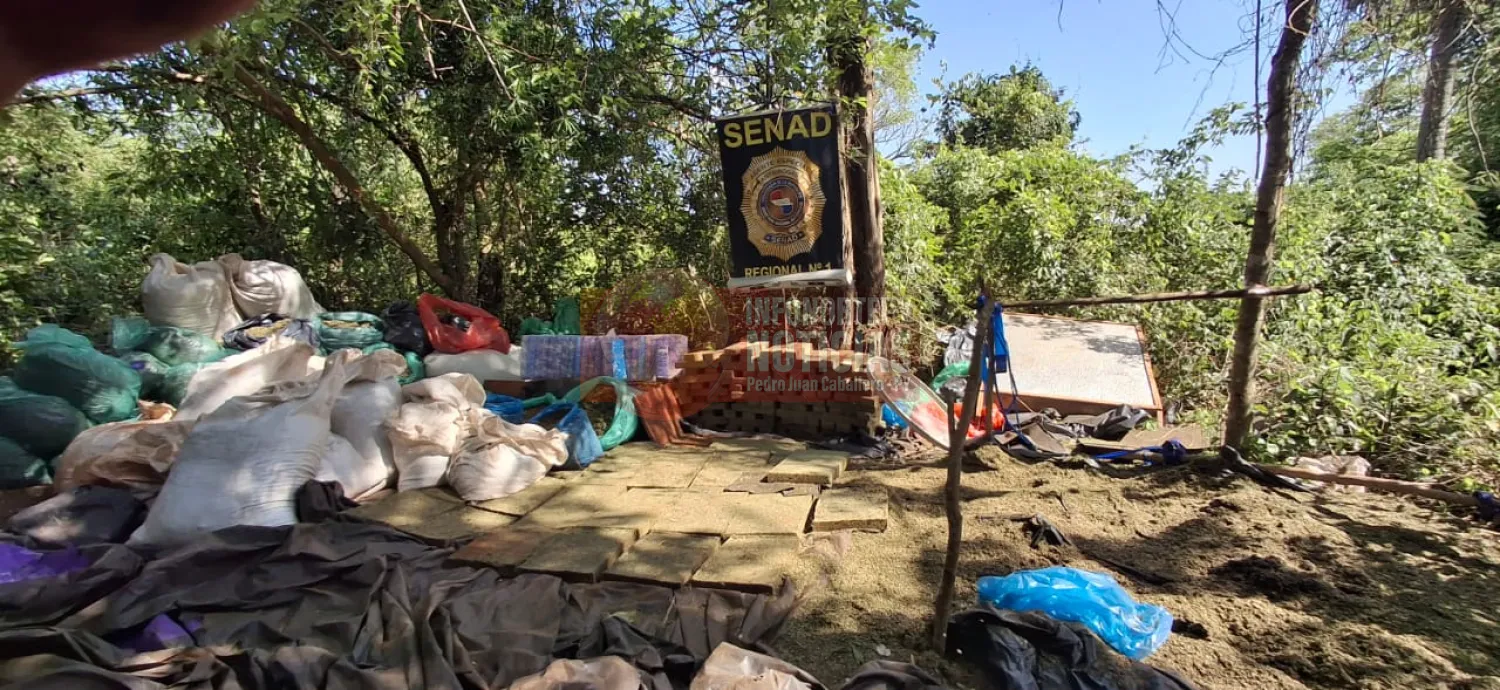 SENAD desmantela centro de producción de marihuana en Capitán Bado