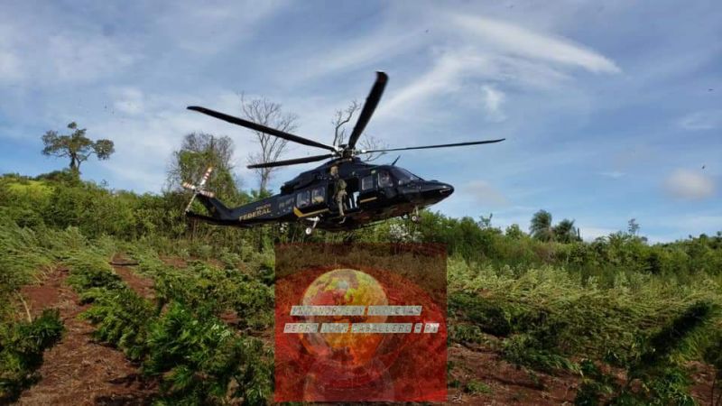 Operativo Nueva Alianza XXV  Senad - Policia Federal en Pedro Juan