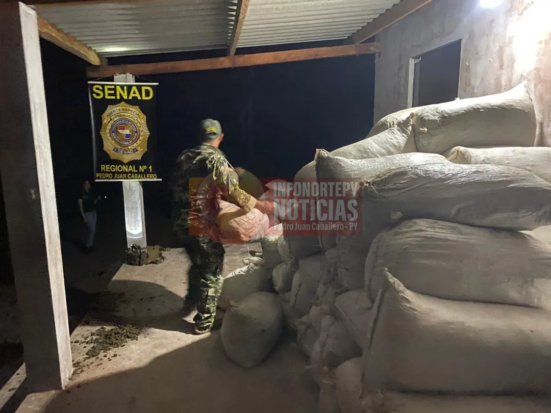 Dos allanamiento de la SENAD en la Colonia Santa Clara deja importante incautación de marihuana