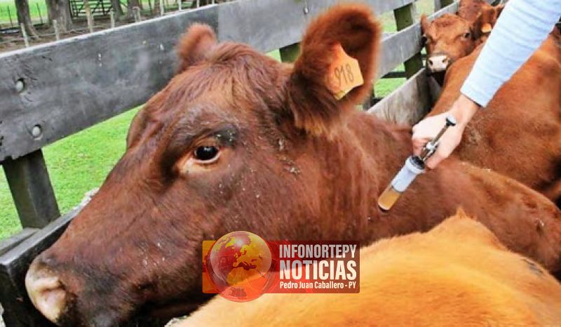 Inician segunda campaña antiaftosa