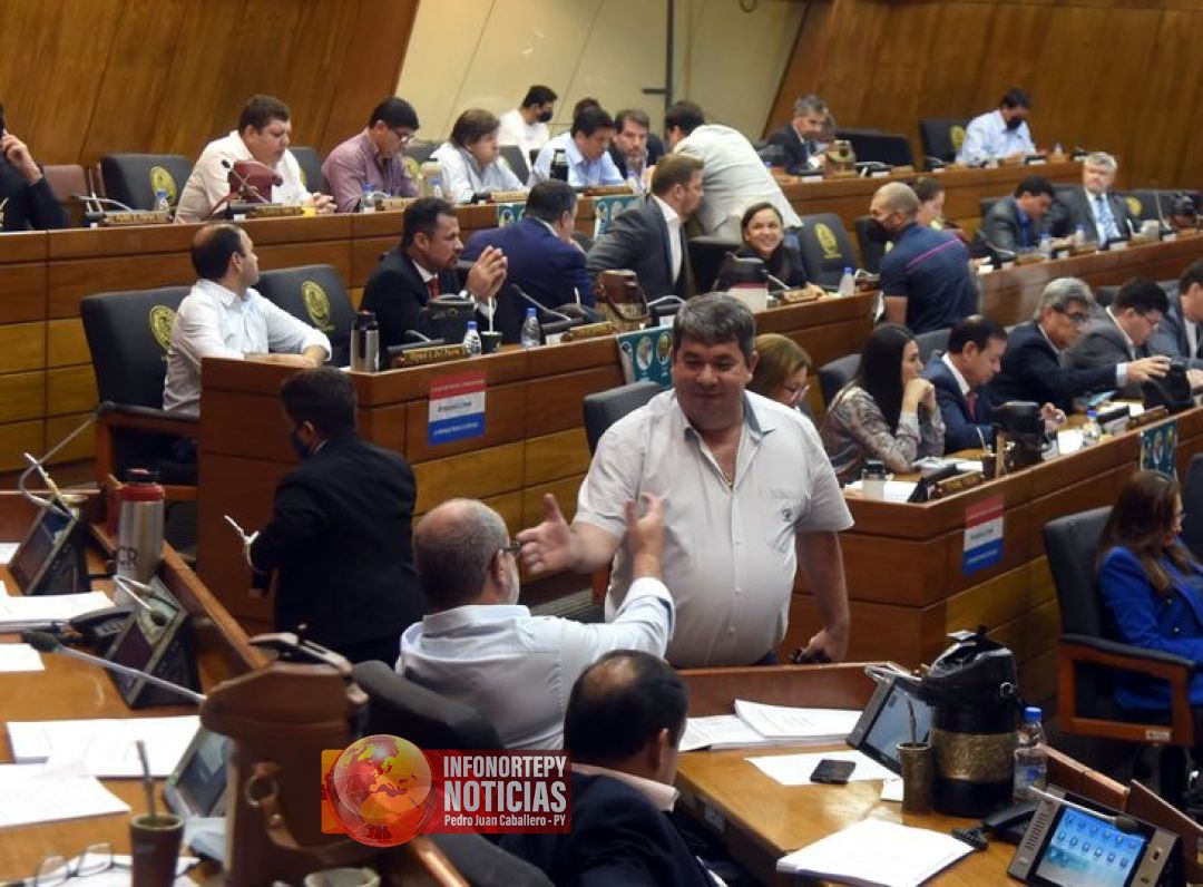 Diputados aprueba proyecto que permite a Petropar comprar combustible sin intermediarios
