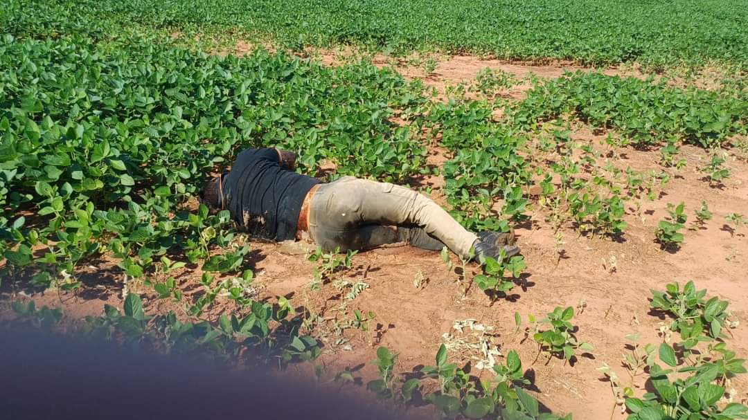 Hallan cadáver en estado de descomposición en zona de Horqueta