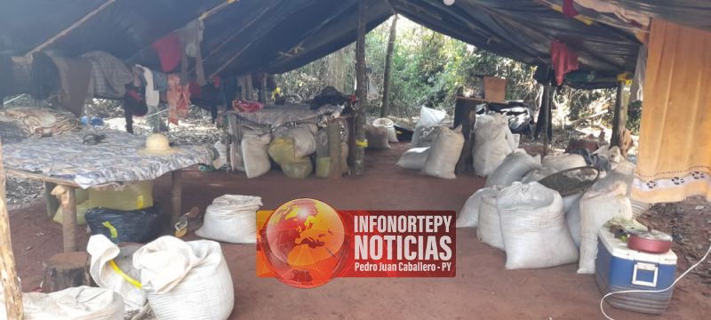 Más de 12 toneladas de marihuana fue incautanda y destruída en Cápitan Bado