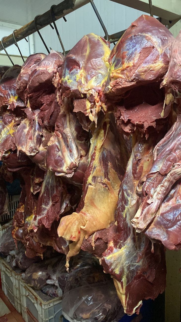 Luque: Fiscalía interviene carnicerías por vender carne de caballo como de vaca