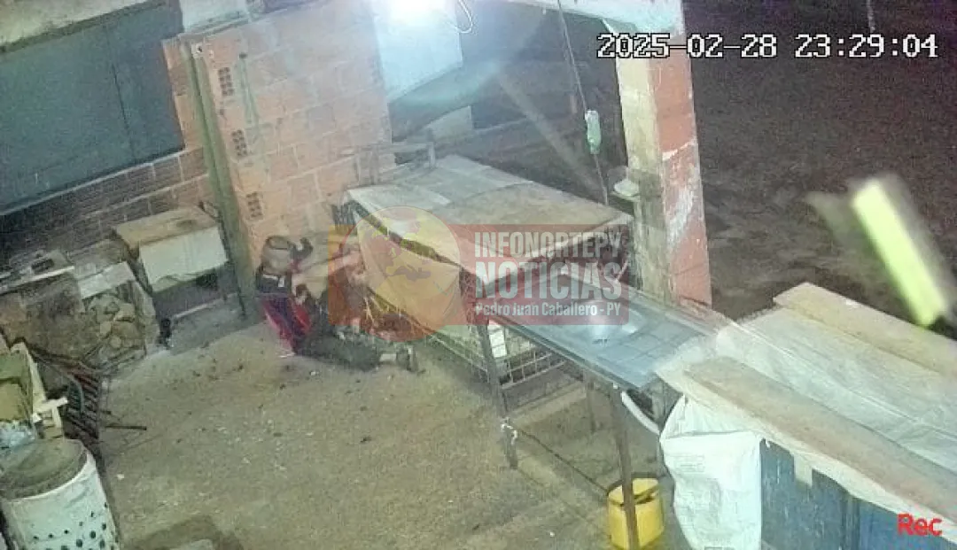 Detienen a ladrón de gallinas en Pedro Juan