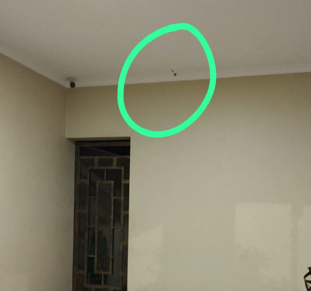 Desconocido dispara contra una vivienda en Pedro Juan